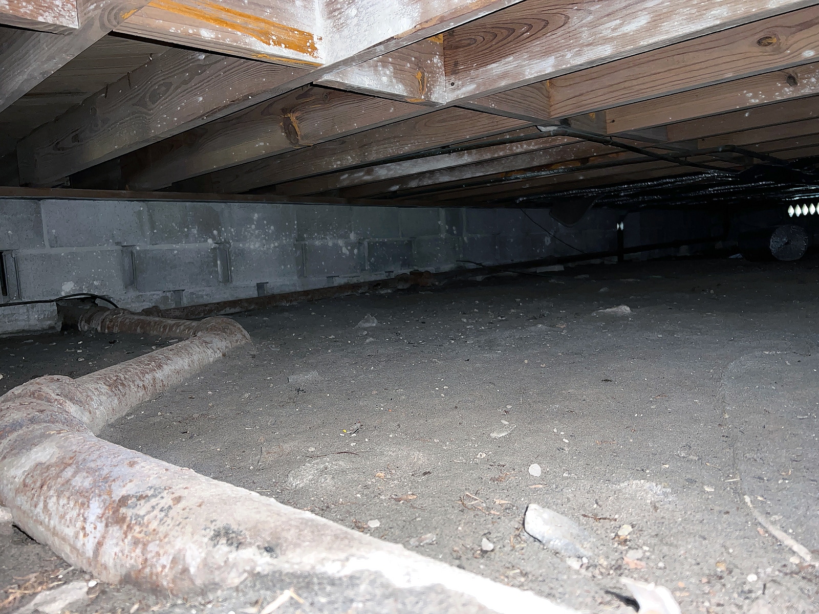 Crawlspace Inspections