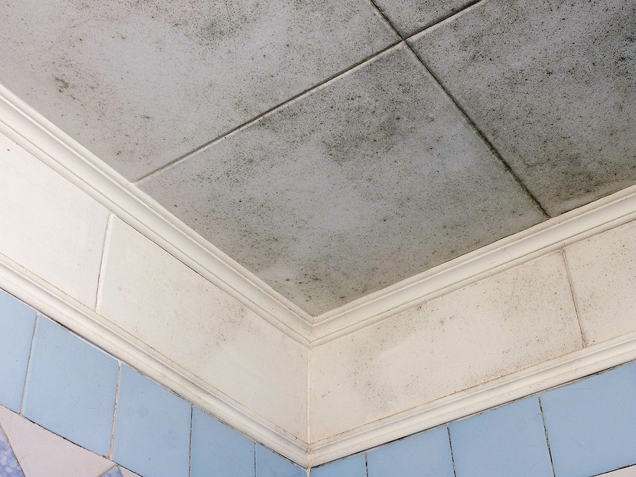 Mold Sampling Services in Nashville TN